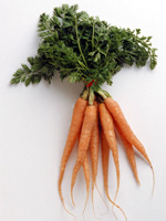 Carrots