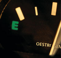 Oestrogen fuel
