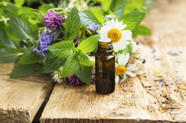 Natural Treatments For Prostate Cancer In Dogs Natural Treatments For Prostate Cancer In Dogs