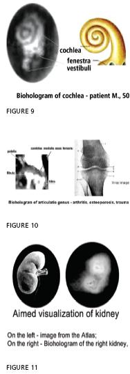 bio9