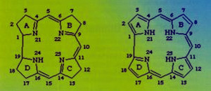 Vitamin B-12