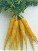 carrots