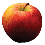 Red apple