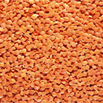 Red lentils