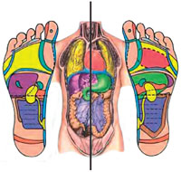 Reflexology diagram