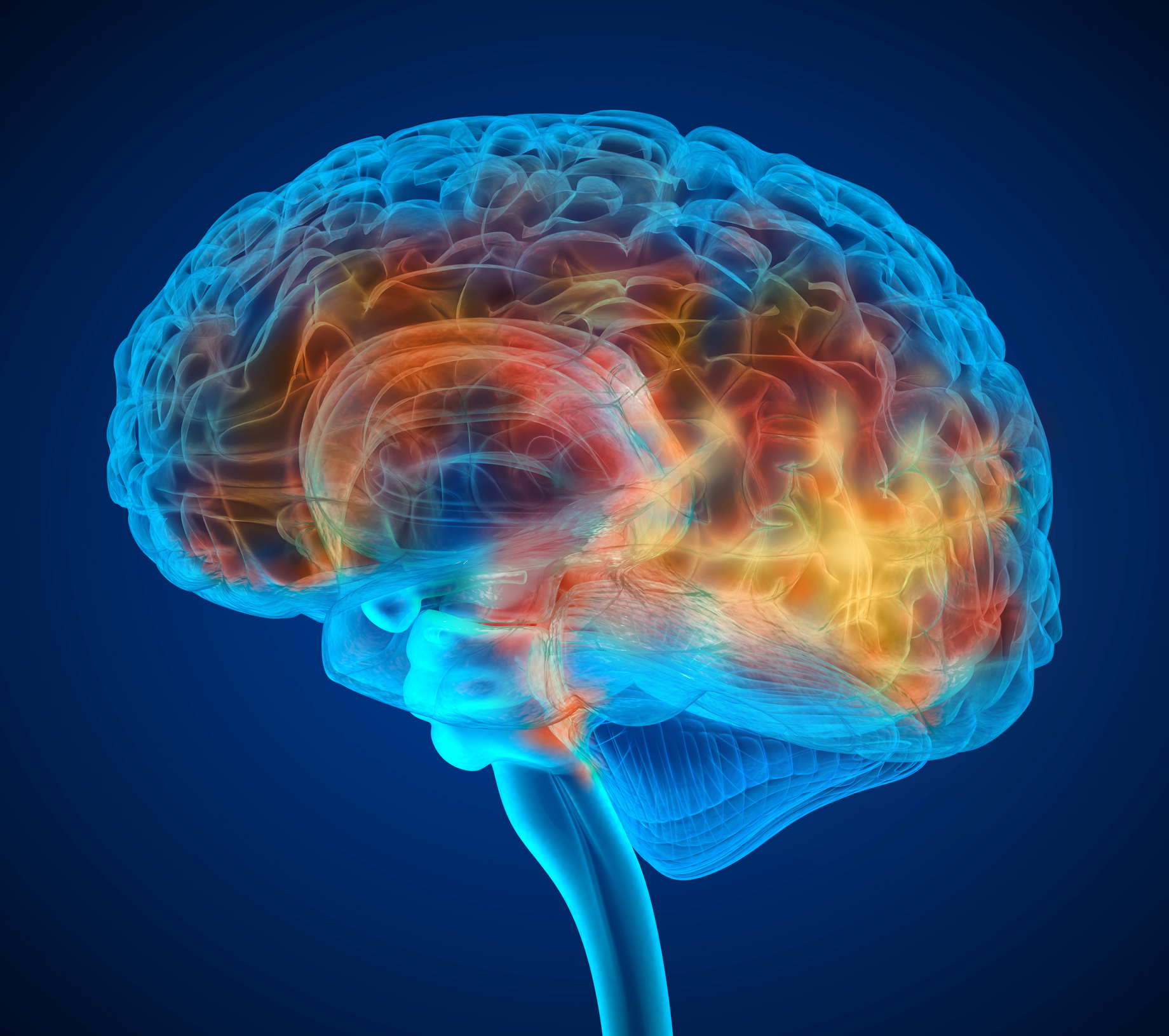 Brain Tumours and Brain Cancer Latest News