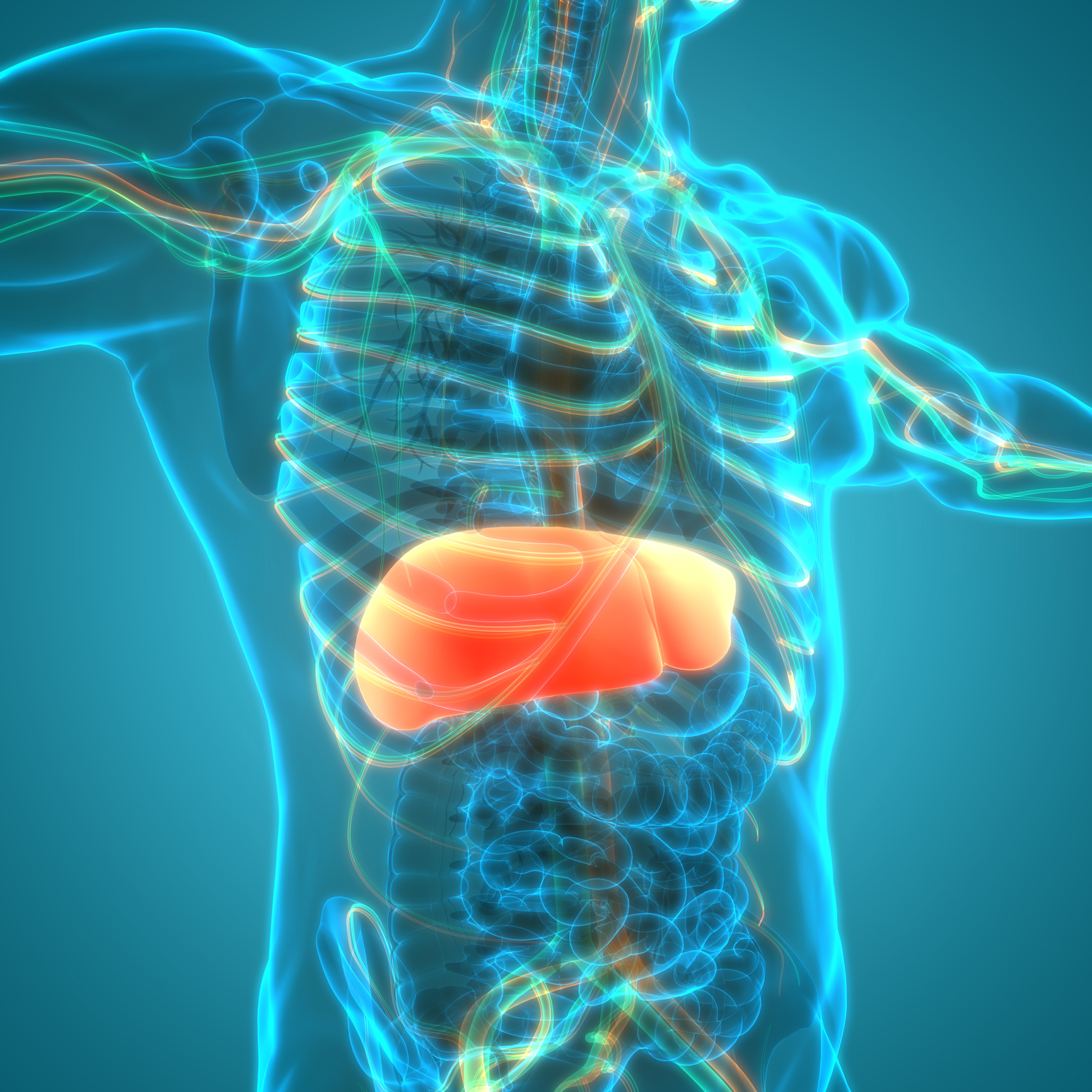 Liver Cancer Latest News