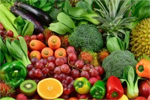 Diet as an integral part of your Complementary and Integrative cancer treatment programme