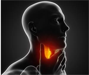 * Oesophageal Cancer - Latest News, Latest Research | CANCERactive
