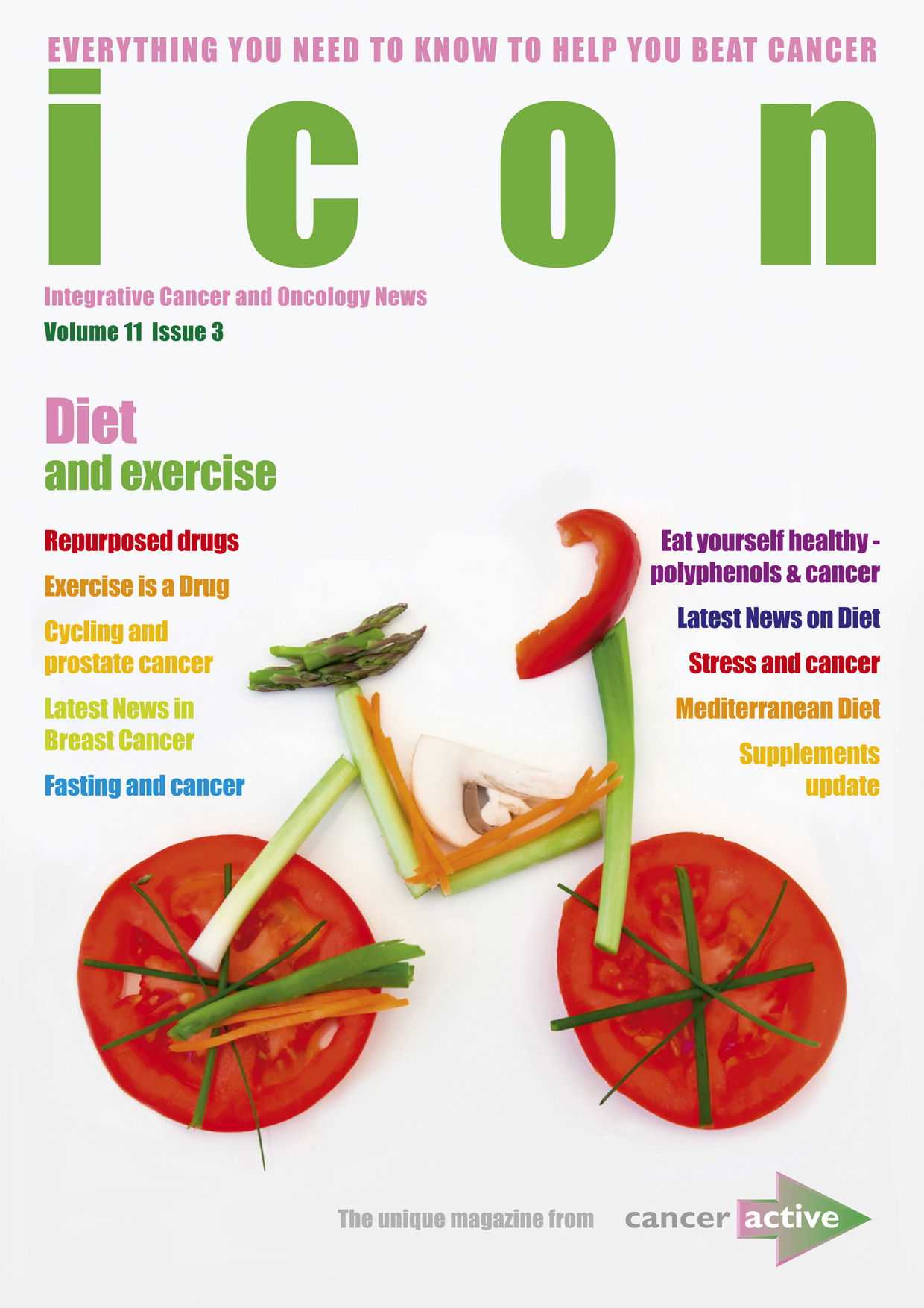 ICON Volume 11 Issue 3