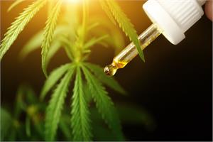 High quality CBD inhibits Covid replication