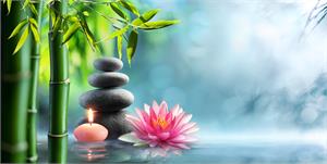 Holistic Cancer Therapies