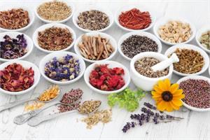 Ayurvedic herbs that fight cancer