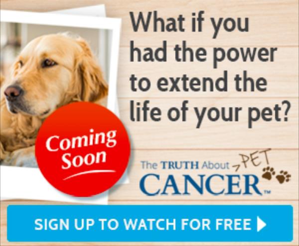 The Truth about Pet cancer