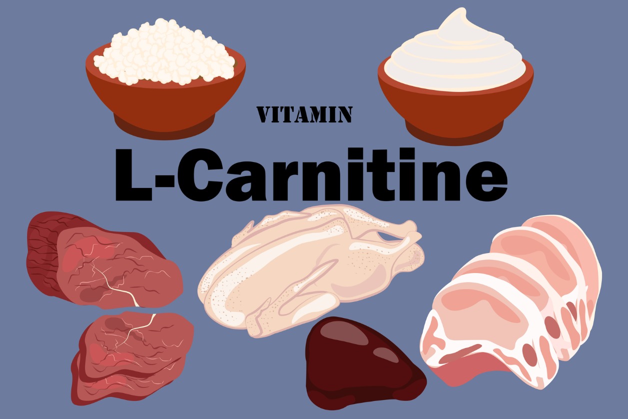 AcetylLCarnitine benefits during and after chemotherapy CANCERactive