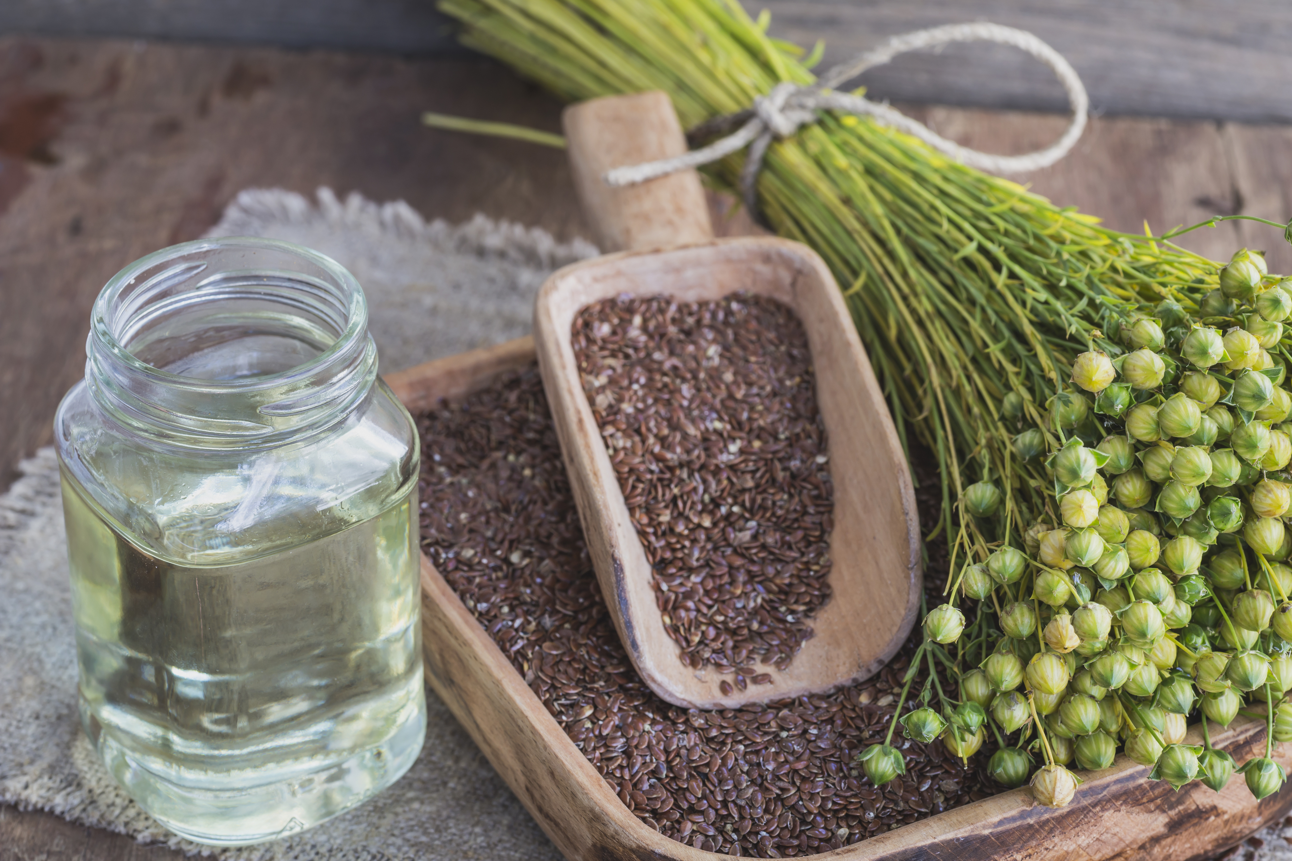 Flax - The Facts from the Nutrichef