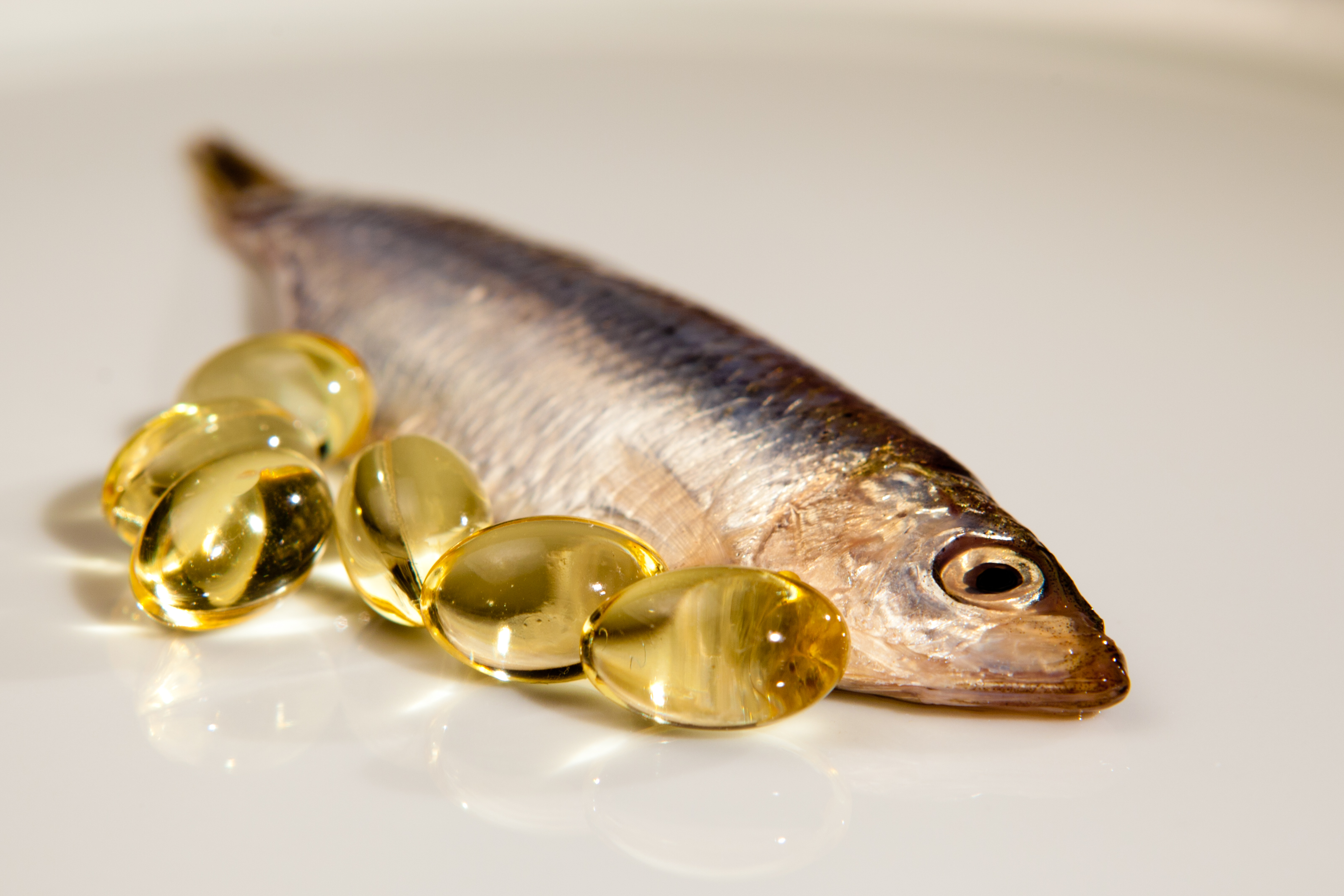 Fish oils dramatically change gut bacteria for better health