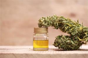 Hemp oil slows ovarian cancer cell spread