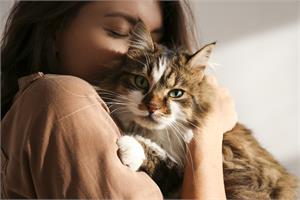 Toxoplasma gondii parasite linked to cancer cause