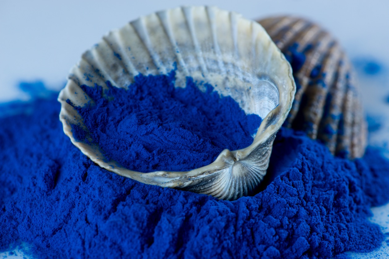 Phycocyanin - a marine anticancer agent