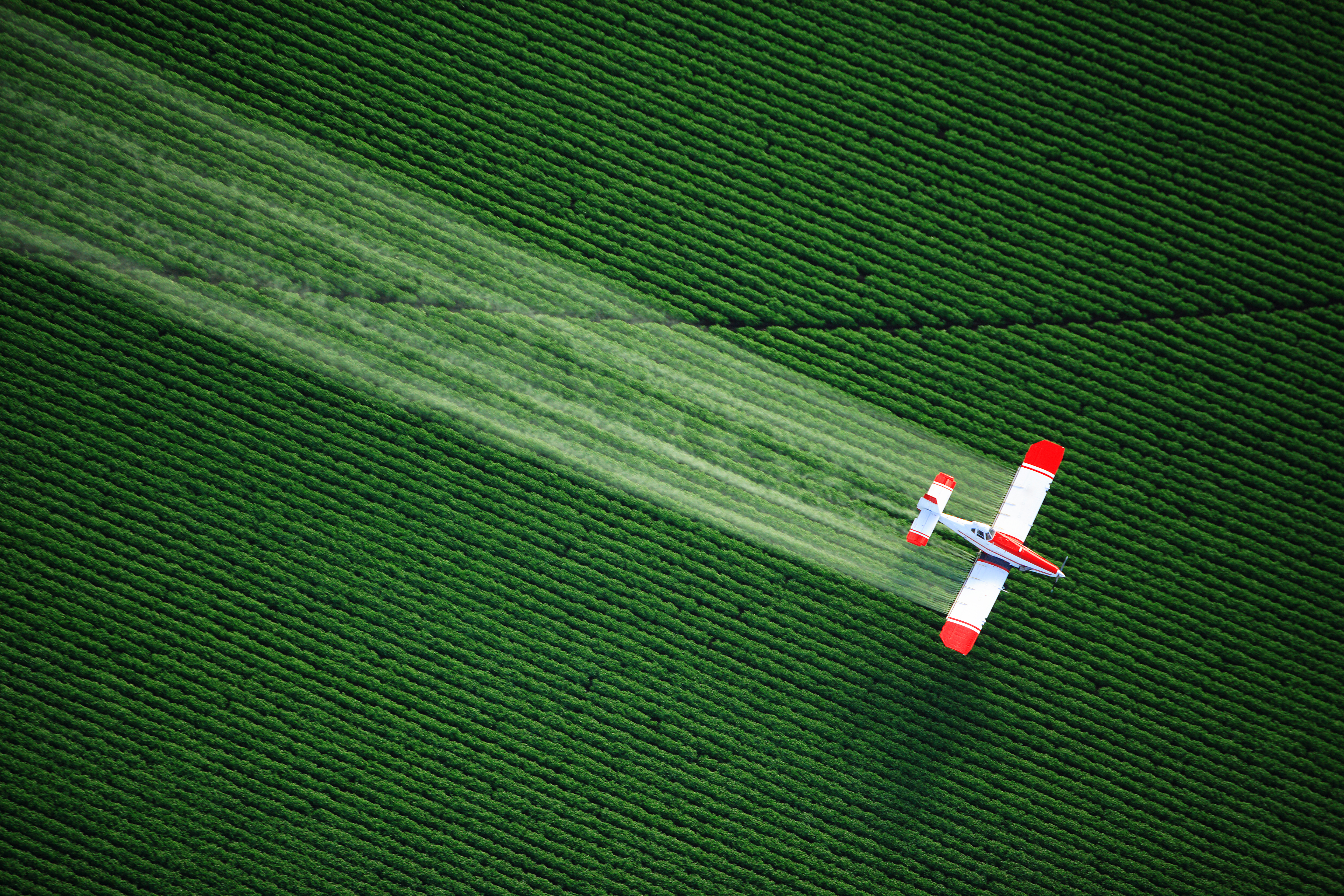 Pesticides and their links to cancer