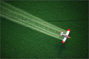 Pesticides and their links to cancer