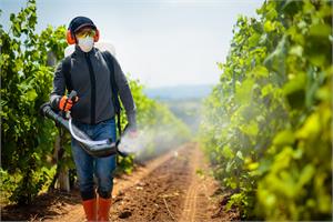 Pesticides and Cancer