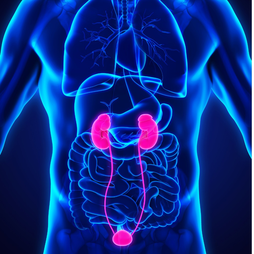 The causes of Kidney cancer