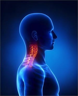 * Neck and Head Cancer - Latest News, Latest Research | CANCERactive