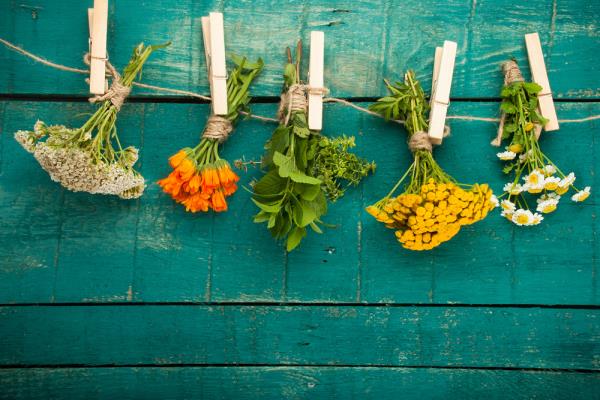 20 Herbs that can fight cancer