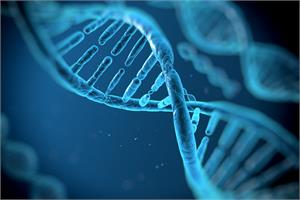 Human cells can write foreign RNA into genetic DNA code