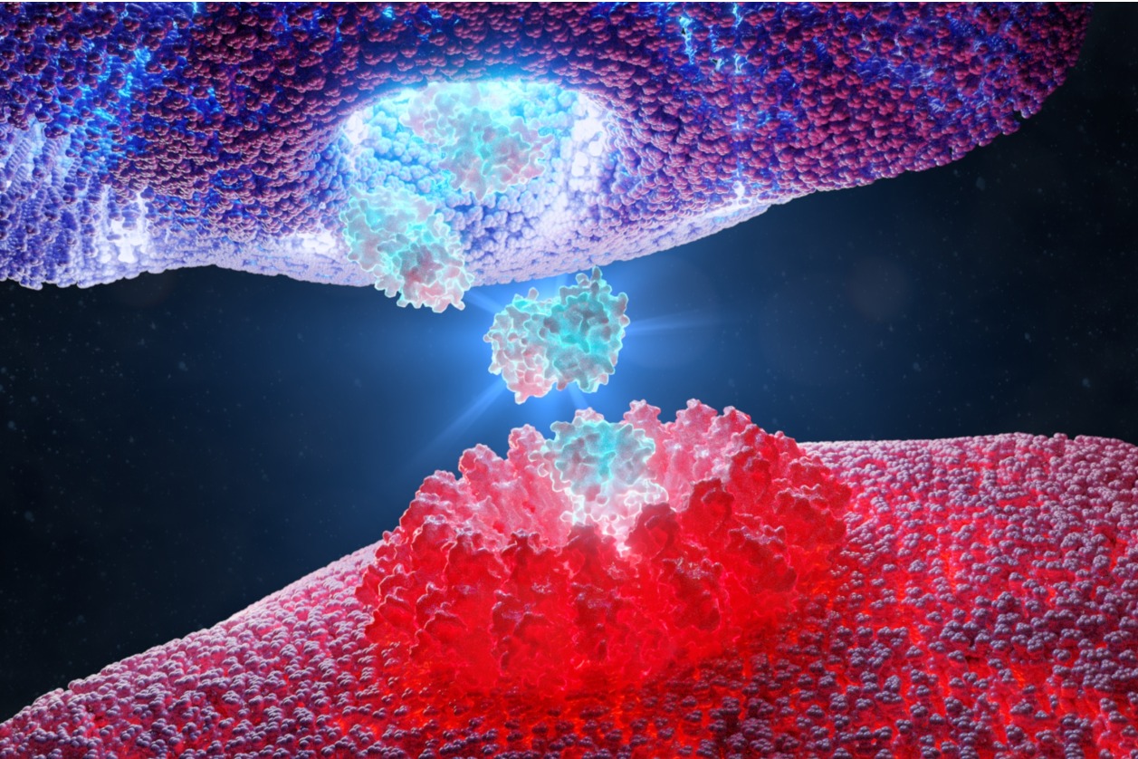 Can ferroptosis provide a metabolic solution to cancer?