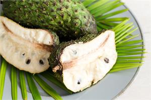 Graviola, Soursop, Annona Muricata and cancer